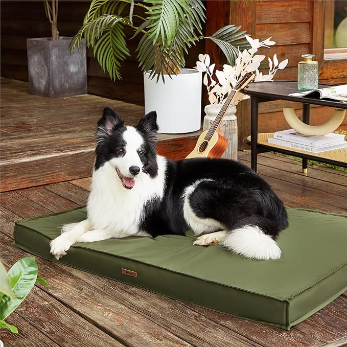 Lesure Outdoor Waterproof Dog Crate Bed Large Sized Dog, Orthopedic Egg Crate Foam Pet Bed with Oxford Fabric Surface and Removable Washable Cover, Pet Mat 35''x22'', Green