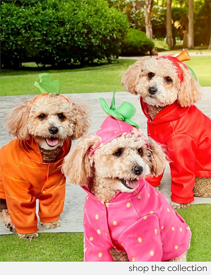 Rubies Carrot Fun and Cute Pet Costume Hoodie for Themed Parties and Halloween, X-Large