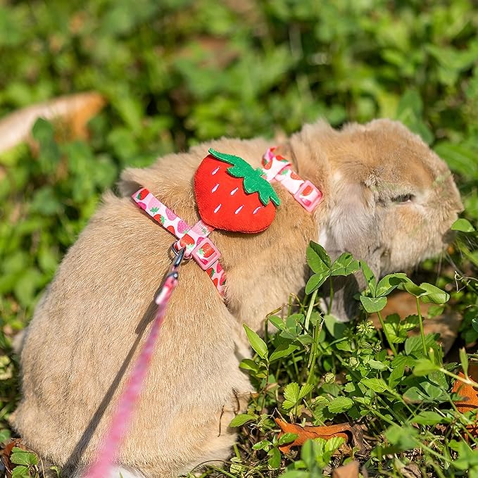 Rabbit Harness and Leash - Adjustable Bunny Harness Escape Proof for Walking Running Hiking Camping Outdoor - Pink Strawberry Pattern Cute Small Animal Harness Leash Set