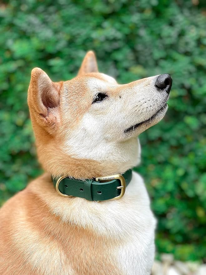 Tuff Pupper Classic Heavy Duty Dog Collar | 10x Stronger Than Leather | 100% Waterproof & Odor Proof Dog Collar | Tough Rust-Proof All Metal Hardware