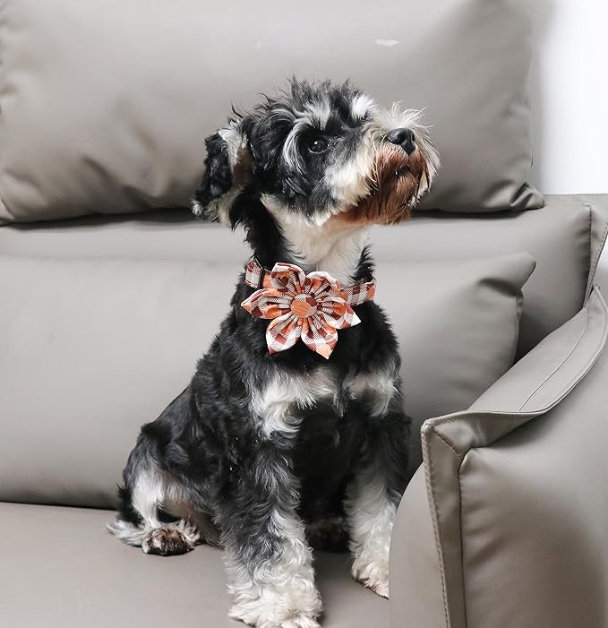Unique Style Paws Cotton Dog Collar with Bow Halloween Pumpkin Plaid Dog Collar with Bow Tie for Small Medium Large Dogs Pets Gifts