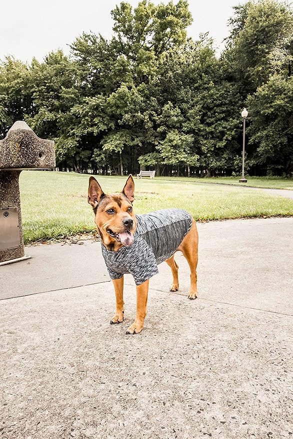 Pet Life ® Active 'Warf Speed' Heathred Dog Fitness and Yoga Pet T-Shirt Dog Clothes - Performance Dog T-Shirt with 4-Way-Stretch, Reflective and Quick-Dry Technology - Summer Dog Shirts