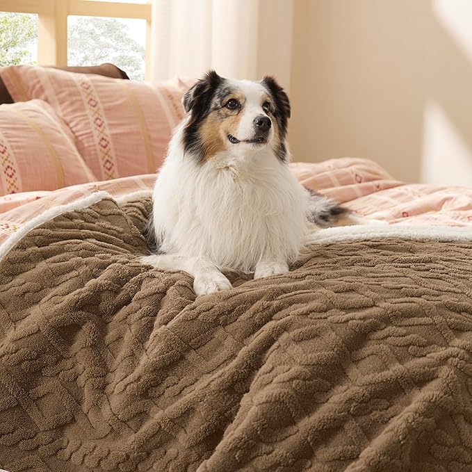 Bedsure Waterproof Dog Blankets for Large Dogs - Pet Blanket for Couch Protector Washable, Premium Jacquard Coral Fleece Cat Throw Blanket, Soft Plush Reversible Furniture Protection,50"x60", Taupe