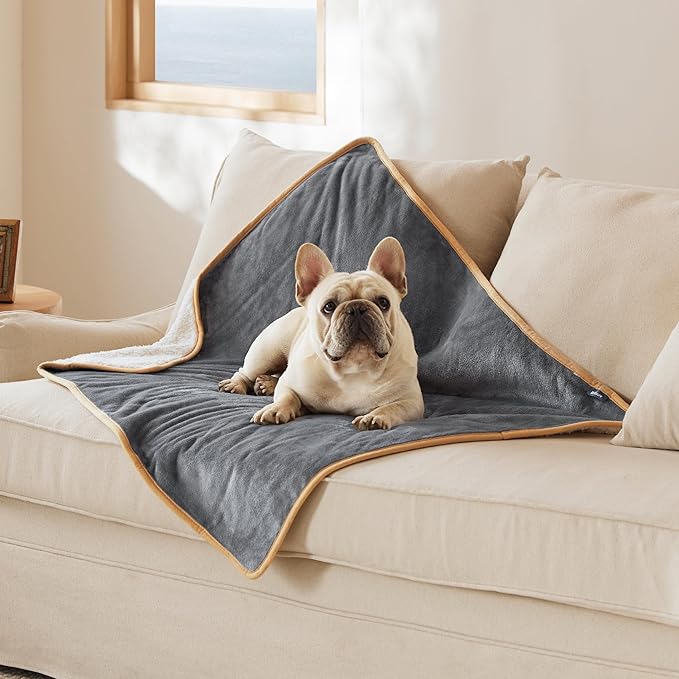 Bedsure Waterproof Dog Blankets for Medium Dogs Washable - Medium Cat Blanket for Couch Protection, Sherpa Fleece Puppy Blanket, Soft Plush Reversible Throw Furniture Protector, 30"X40", Grey