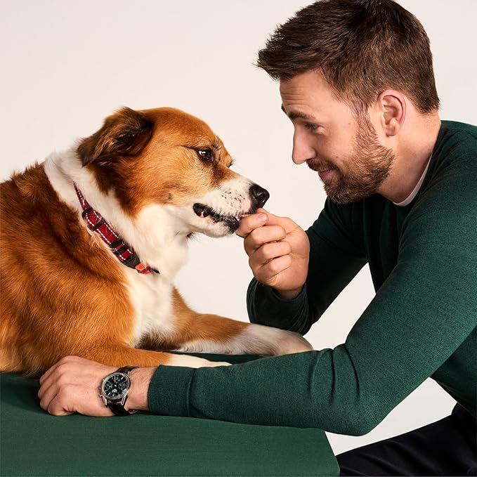 Jinx Tenders Chicken Jerky Dog Treats, All Natural Ingredients, Soft & Chewy, Low-Calorie, Slow-Smoked Chicken & Sweet Potato, No Fillers, 5oz