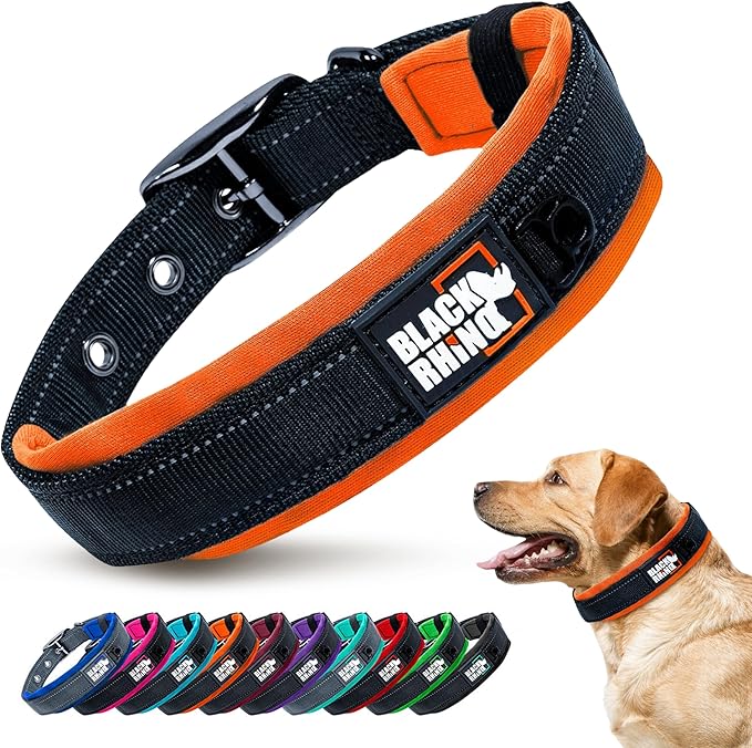 Black Rhino Dog Collars for Medium Dogs - Adjustable Reflective Heavy Duty Dog Collar with Ultra-Soft Neoprene Padding - Weatherproof, Durable, and Comfortable for Active Dogs - Orange and Black