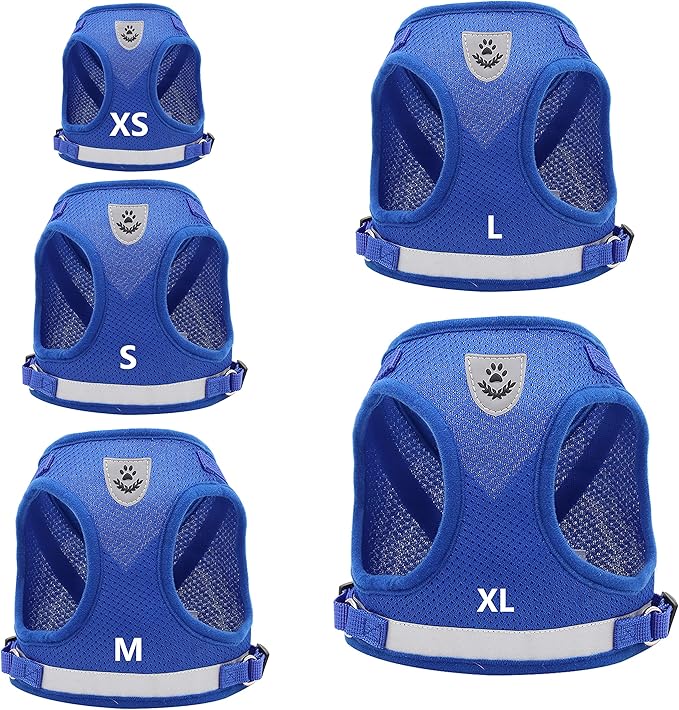 Step in Dog Harness and Leash Set,Reflective Adjustable Soft Mesh Breathable Pet Vest Dog Harnesses Set, No Chock No Pull Padded Puppy Harnesses for Small Dogs and Cats (Blue, Large)