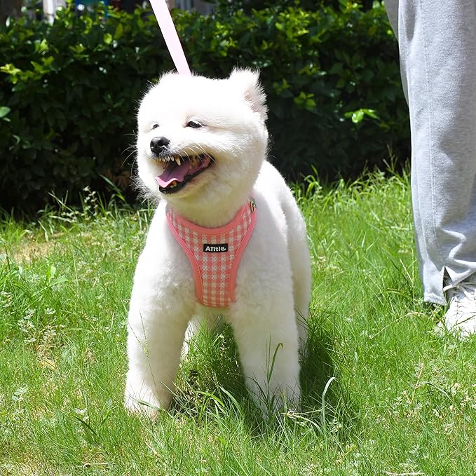 AIITLE Small Dog Harness and Leash Set, Step in No Pull Pet Harness, Soft Mesh Reflective Plaid Vest Harnesses for Small Dogs Puppy and House Cats Outdoor Walking Running Watermelon XS