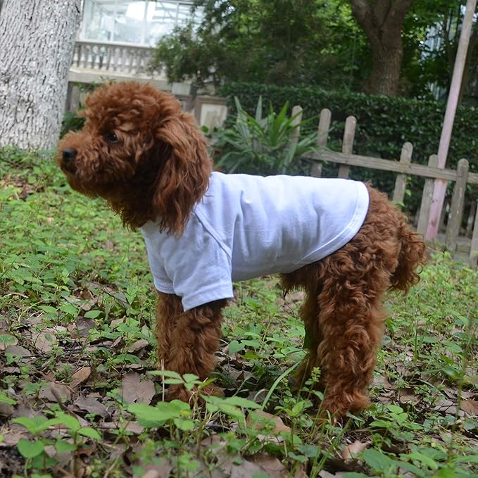 Lovelonglong Pet Clothing Dog Costumes Basic Blank T-Shirt Tee Shirts for Small Dogs White M