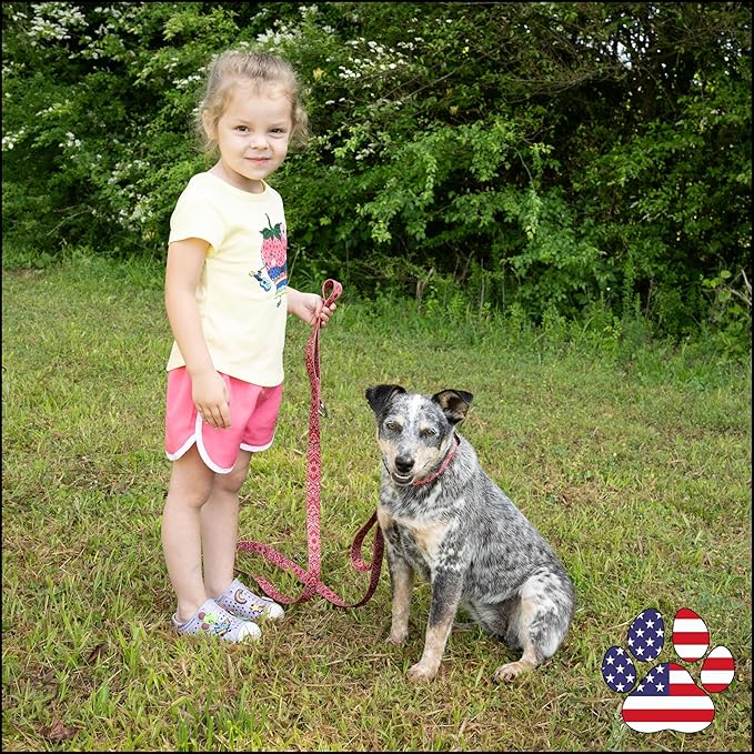 Country Brook Petz - Deluxe Red Bandana Dog Collar - Made in The U.S.A. - Country and Western Collection Featuring Rustic Designs (1 Inch, Medium)