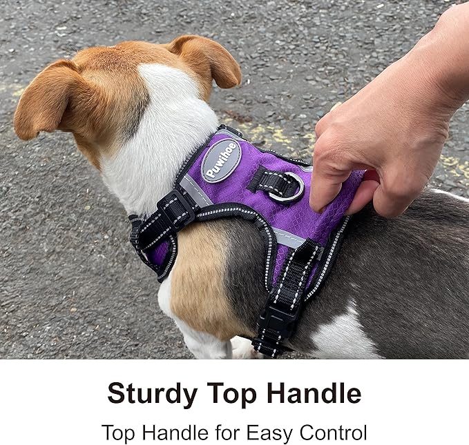 No Pull Dog Harness, Reflective Walking Dog Harness with Easy Control Handle and Front & Back Clips,Adjustable Breathable Soft Padded Dog Vest Harness for Large Medium Small Dogs,Purple,S