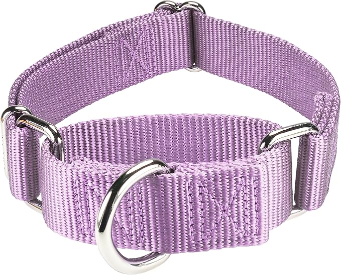 Mikivery Martingale Dog Collar Nylon Adjustable and Safety Training Metal Buckle Dogs Collars for Small Medium and Large Breed(Violet,L)