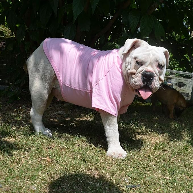 Lovelonglong Bulldog Clothes Dog Clothing Blank T-Shirt Tee Shirts for French Bulldog English Bulldog American Pit Bull Pugs 100% Cotton Skin Care Pink B-L