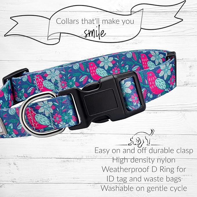 Lucky Love Dog - Adjustable Collar and Leash Set with Easy Click Buckle for Small to Large Dogs, Durable, & Comfortable Collar for Male & Female Dogs, Puppies & Adul t- CarrieBelle Combo, Medium