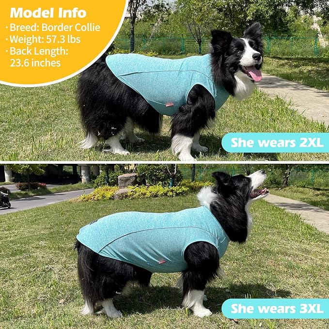 KYEESE Dog Shirt Medium Dog Quick Dry Soft Breathable Dog T-Shirt with Reflective Stripe Lightweight Tank Top Summer Stretchy Sleeveless Vest, Lake Blue, 2XL