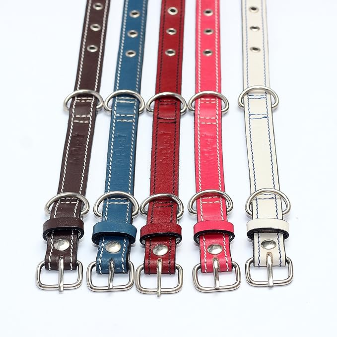Premium Leather Collars with Stainless Steel Buckles (9"-12", Red)