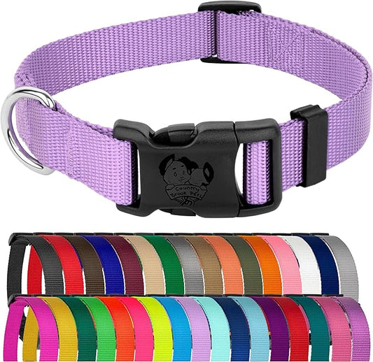 Country Brook Petz - American-Made Dog Collar for Large, Medium, and Small Dogs and Puppies - Deluxe Heavy Duty Nylon in 33 Dazzling Colors (Small, 3/4 Inch Wide, Lavender)