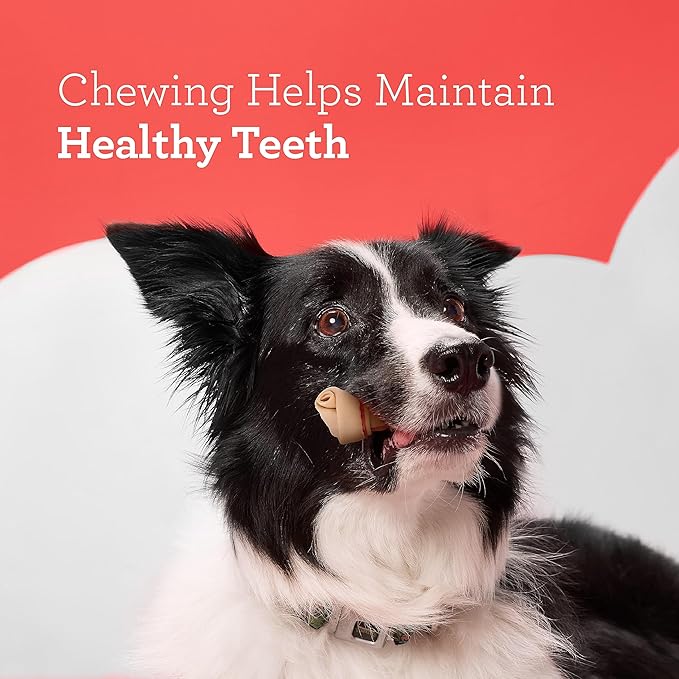 DreamBone Mini Chew, Made with Real Chicken & Vegetables, Rawhide Free Chews For Dogs, 50 Count