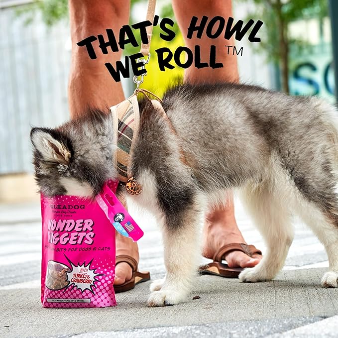 Polkadog Turkey & Cranberry Wonder Nuggets Dog Treats – All-Natural Pet Training Treats for Dogs – Healthy, Handmade Puppy Snacks – Bite-Sized, Soft, Chewy Treats for Pets – 10 oz