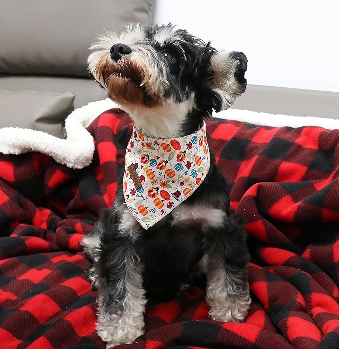 Unique Style Paws Thanksgiving Cotton Dog Collar with Bow Halloween Pumpkin Plaid Dog Collar with Bow Tie for Small Medium Large Dogs Pets Gifts