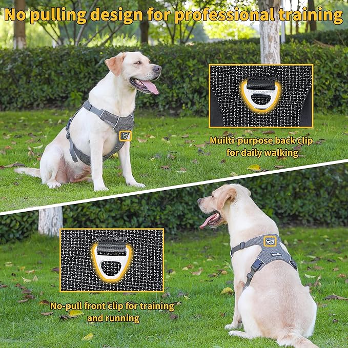 Dog Harness, Easy Walk Pet Harness No Pull with 2 Leash Clips, Reflective Running Soft Padded Adjustable Puppy Vest, Heavy Duty Seatbelt Harness for Car for Small Dogs (Black, S)