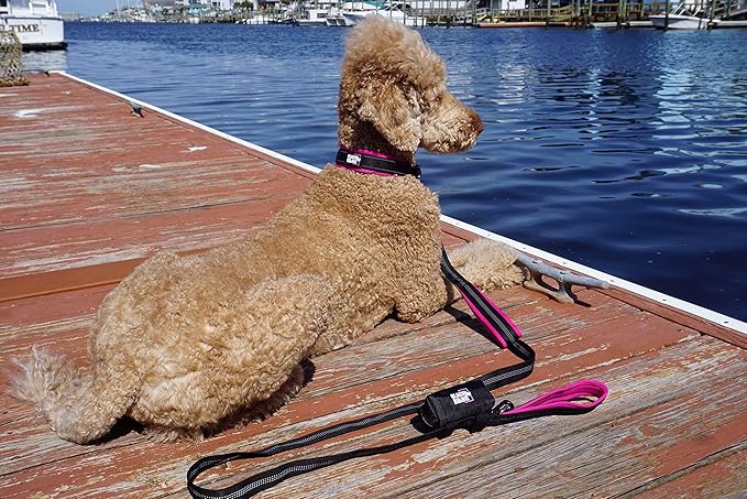 Black Rhino Dog Collars for Medium Dogs - Adjustable Reflective Heavy Duty Dog Collar with Ultra-Soft Neoprene Padding - Weatherproof, Durable, and Comfortable - Ideal for Active Dogs - Pink and Black