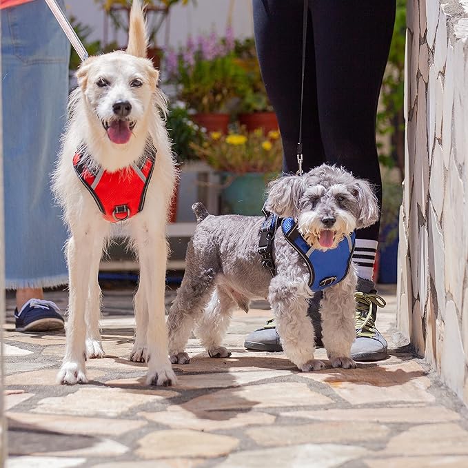 No Pull Dog Harness, Reflective Walking Dog Harness with Easy Control Handle and Front & Back Clips,Adjustable Breathable Soft Padded Dog Vest Harness for Large Medium Small Dogs, Pink,L