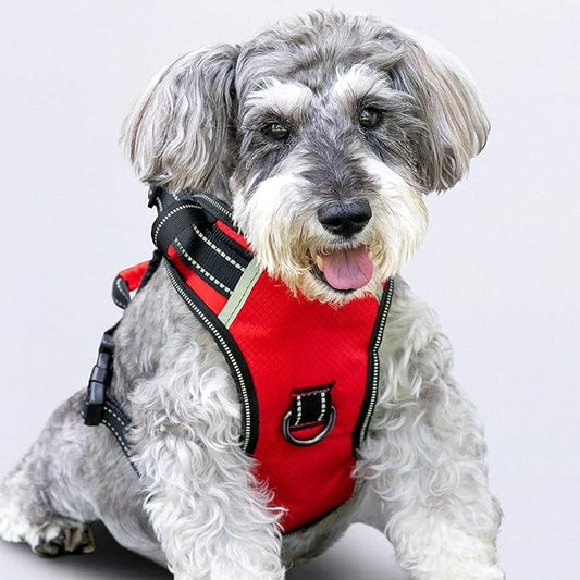 No Pull Dog Harness, Reflective Walking Dog Harness with Easy Control Handle and Front & Back Clips,Adjustable Breathable Soft Padded Dog Vest Harness for Large Medium Small Dogs,RED,M