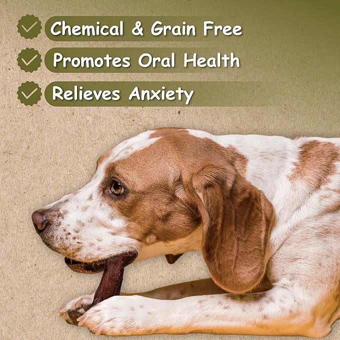 Top Dog Chews 6" Bully Sticks - 25 Pack, All-Natural, Roasted, Sourced from Free-Range Beef, High Protein, Low Fat Dog Chews for Healthy Teeth, Gums & Chewing Satisfaction.