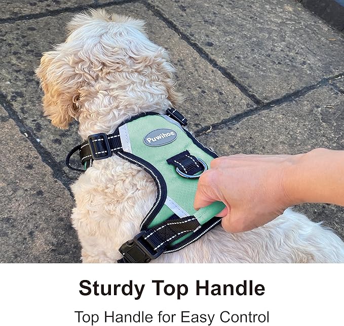 No Pull Dog Harness, Reflective Walking Dog Harness with Easy Control Handle and Front & Back Clips,Adjustable Breathable Soft Padded Dog Vest Harness for Large Medium Small Dogs,Green,M