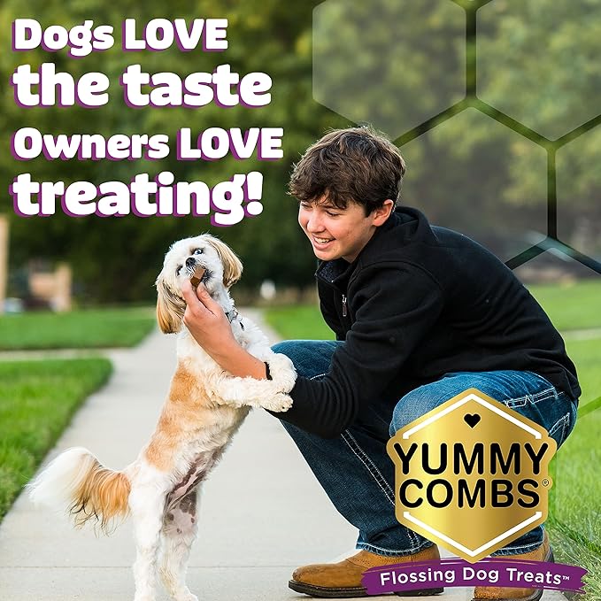 Dog Dental Treats – Vet VOHC Approved – Delicious Chicken Protein – Removes Tartar with Cleaning Comb Shape – Dental Dog Treats for Extra Small Dogs (12oz, 48 Count)