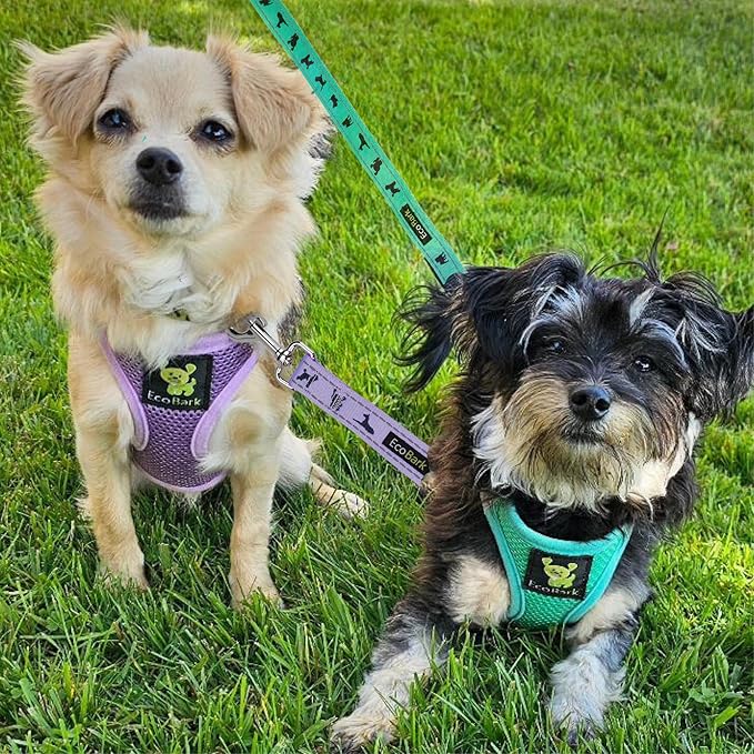 EcoBark Teacup Dog Harness - Step in Luxury Dog Harnesses for Teacup Breed Dogs - Reflective and Adjustable Mini Body Halter Vest -Tiny Soft Mesh Toy Breed Harness (Lavender, XXS)