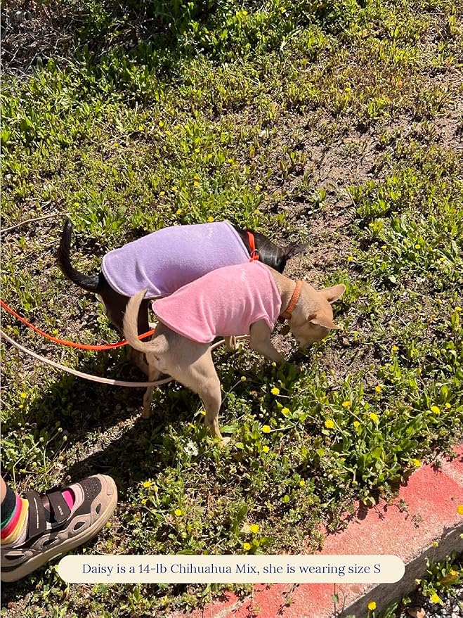 ADEDAS Sleeveless Shirt - Purple XXL