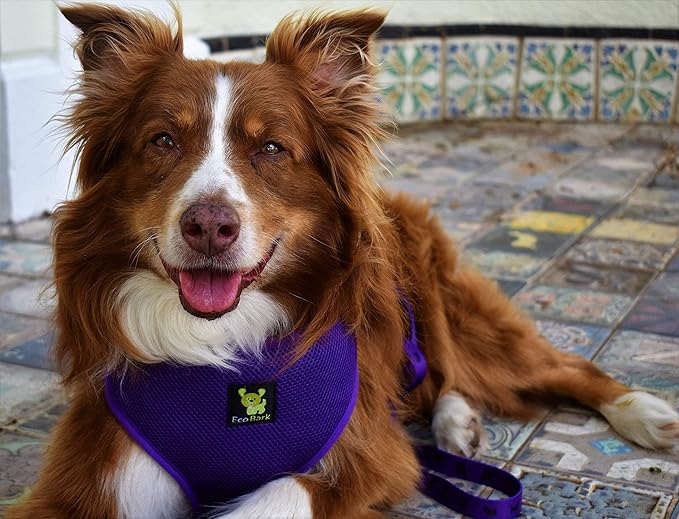 Classic Dog Harness Innovative Mesh No Pull No Choke Design Soft Double Padded Breathable Vest for Eco-Friendly Easy Control Walking For Large Puppies Full size breeds & Extra Large Dogs (XXL, Purple)