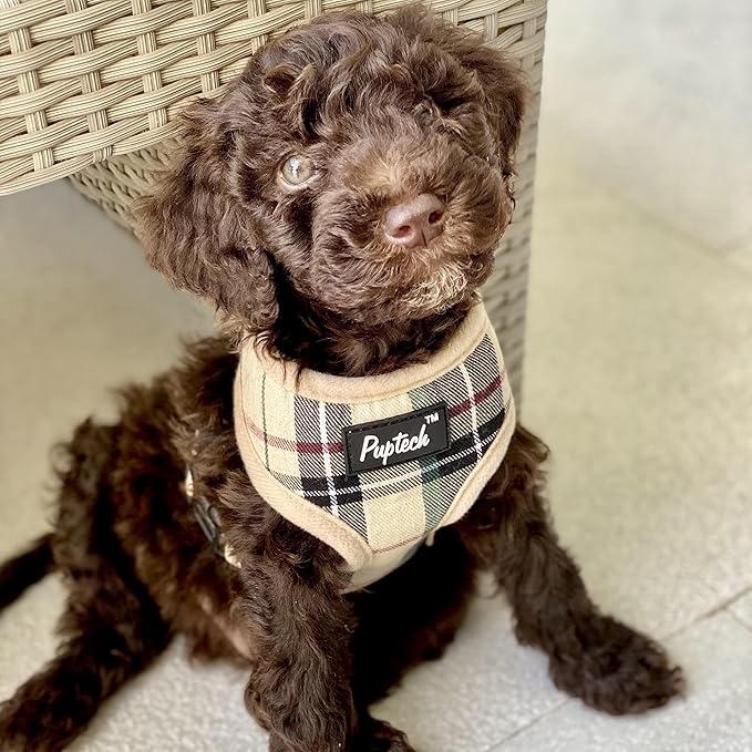 PUPTECK Soft Mesh Dog Harness and Leash Set Pet Puppy Cat Comfort Padded Vest No Pull Harnesses, Beige, XS