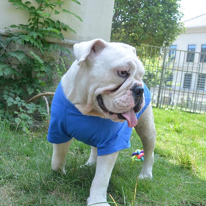 Lovelonglong Bulldog Clothes Dog Clothing Blank T-Shirt Tee Shirts for French Bulldog English Bulldog American Pit Bull Pugs 100% Cotton Skin Care Blue B-M