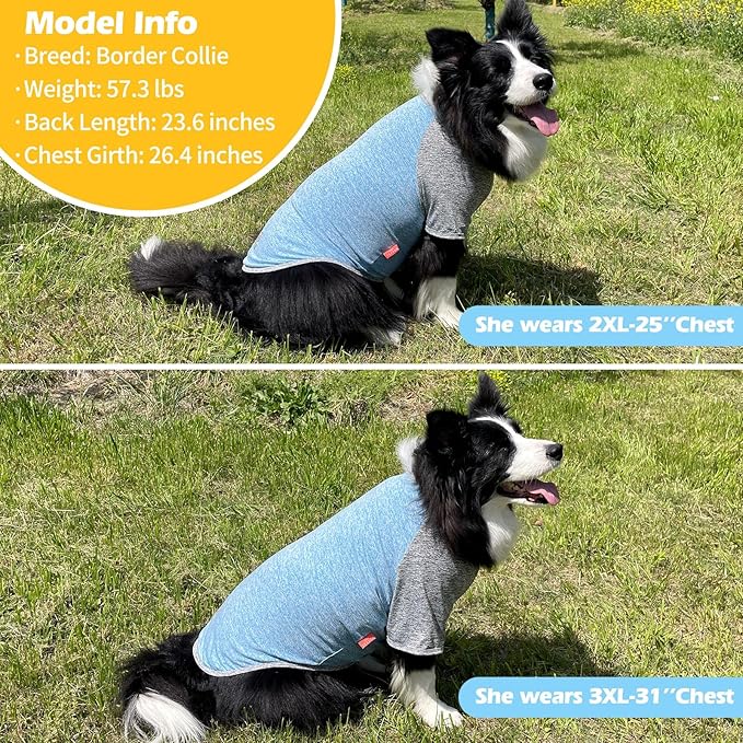KYEESE 2 Pack Dog Shirts for Large Dogs Quick Dry Dog Clothes Breathable Stretchy Pet T-Shirt with Reflective Label Raglan Sleeve Pet Apparel for Large Dogs, Blue+Grey, 3XL