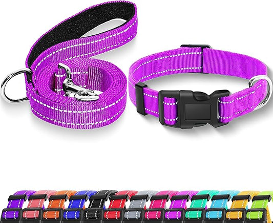 Reflective Dog Collar with Safety Locking Buckle, Adjustable Soft Breathable Nylon Collars for Small, Medium and Large Dogs(Collar+Leash XS Width 3/8" Rosered)