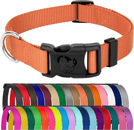 Country Brook Petz - American-Made Dog Collar for Large, Medium, and Small Dogs and Puppies - Deluxe Heavy Duty Nylon in 33 Dazzling Colors (Small, 3/4 Inch Wide, Coral)