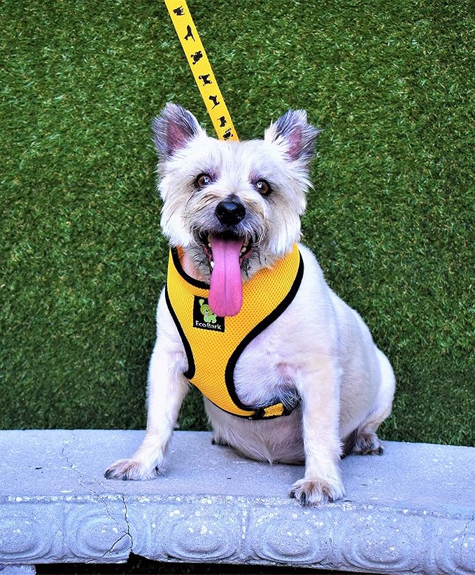 EcoBark Dog Harness - Eco-Friendly Max Comfort Harnesses - Luxurious Soft Mesh Halter - Over The Head Harness Vest- No Pull and No Choke for Puppy, Toy Breeds & Small Dogs (Medium, Yelow)