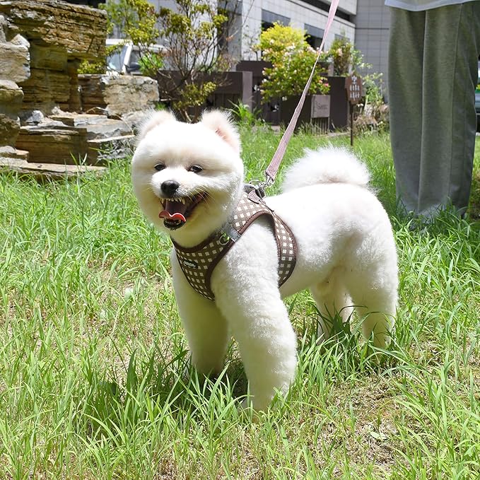 AIITLE No Pull Dog Harness and Leash Set, Step in No Chock Soft Mesh Dog Harnesses Reflective for Extra-Small Puppy Dogs and Cats, Plaid Dog Vest Harness for Pets Chocolate XXS
