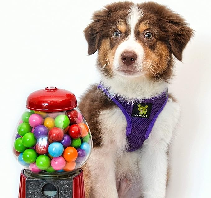 EcoBark Dog Harness - Luxurious Soft Mesh - Eco-Friendly Over The Head Vest Harness - No Pull & No Choke Design - Padded Breathable Body Halter - for Puppy, Toy & Small Breeds (Purple, Small)