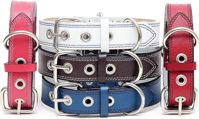 Premium Leather Collars with Stainless Steel Buckles (18"-21", Pink)