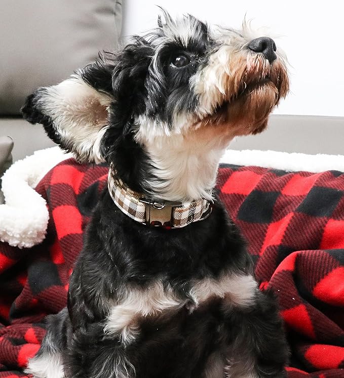 Unique style paws Dog Collar Metal Buckle Collar Gift for Small Medium Large Boys Girls Dogs, brown plaid