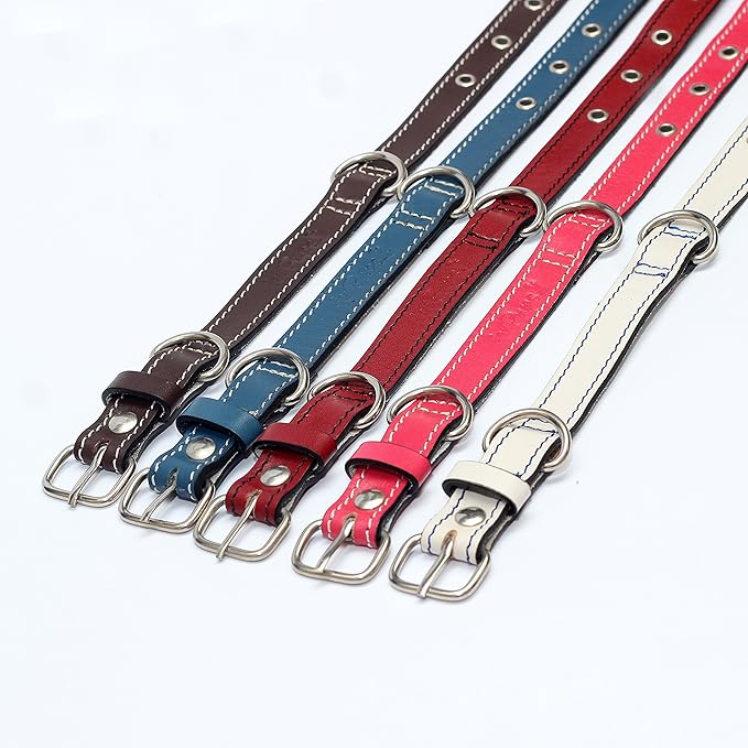 Premium Leather Collars with Stainless Steel Buckles (9"-12", Red)