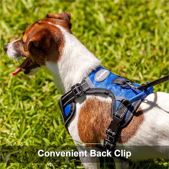 No Pull Dog Harness, Reflective Walking Dog Harness with Easy Control Handle and Front & Back Clips,Adjustable Breathable Soft Padded Dog Vest Harness for Beagle Dog,Blue,M