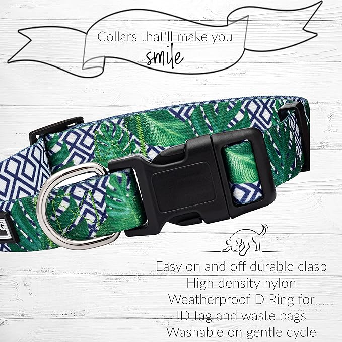 Lucky Love Dog Collar and Leash Set, Beautiful & Vivid Patterns, Easy On & Off Clasp Accessory (Blue Laguna, M Combo)