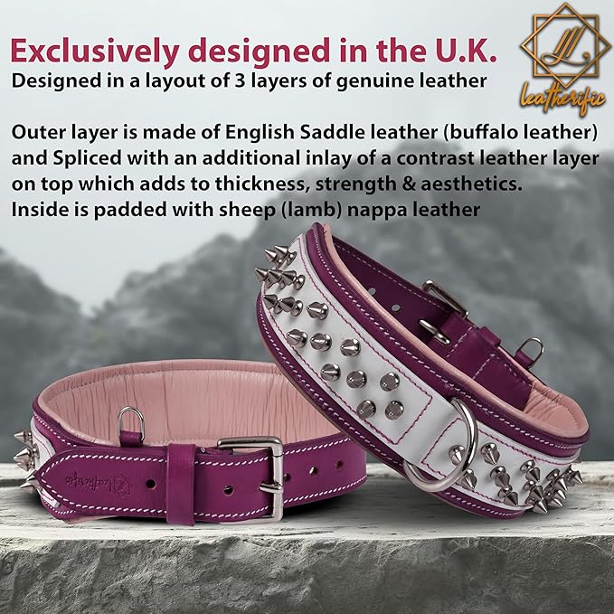 Genuine Leather Dog Collar by Leatherific, Premium Bridle Leather, Heavy Duty, Padded, Strong, Screwed Spikes, Medium, Large, Extra Large Breeds, 2" Wide (Magenta, Neck Size 18"-22")