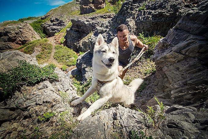 Dog Harness, No Pull Dogs Harness and Multi-Function Leash Set for Medium Dogs Easy Walk Everyday Adjustable Soft Dog Vest Harness Fashionable Dog Accessories Camouflage Brown-Slim Large