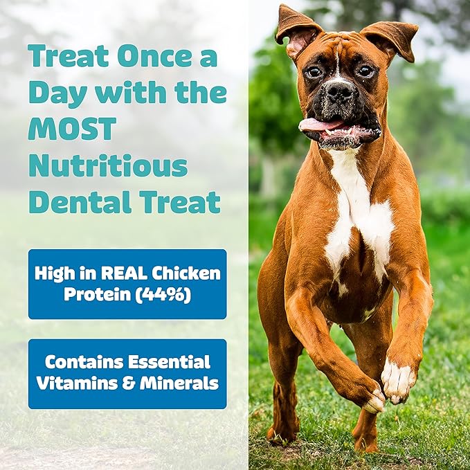 Dog Dental Treats – Vet VOHC Approved, Removes Tartar & Cleans Teeth – Yummy High Protein Chicken Treat for Medium Dogs (Mini Pack, 9 Count)